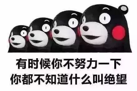 自从把小孩当植物来养后，整个人都好多了