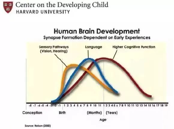 暑假快到了，当妈的又要做项目管理了。。。。