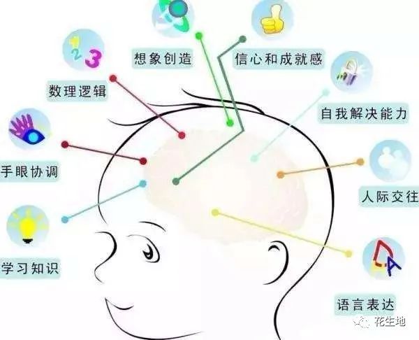 鸡娃最科学的方法是：到什么年纪做什么事儿