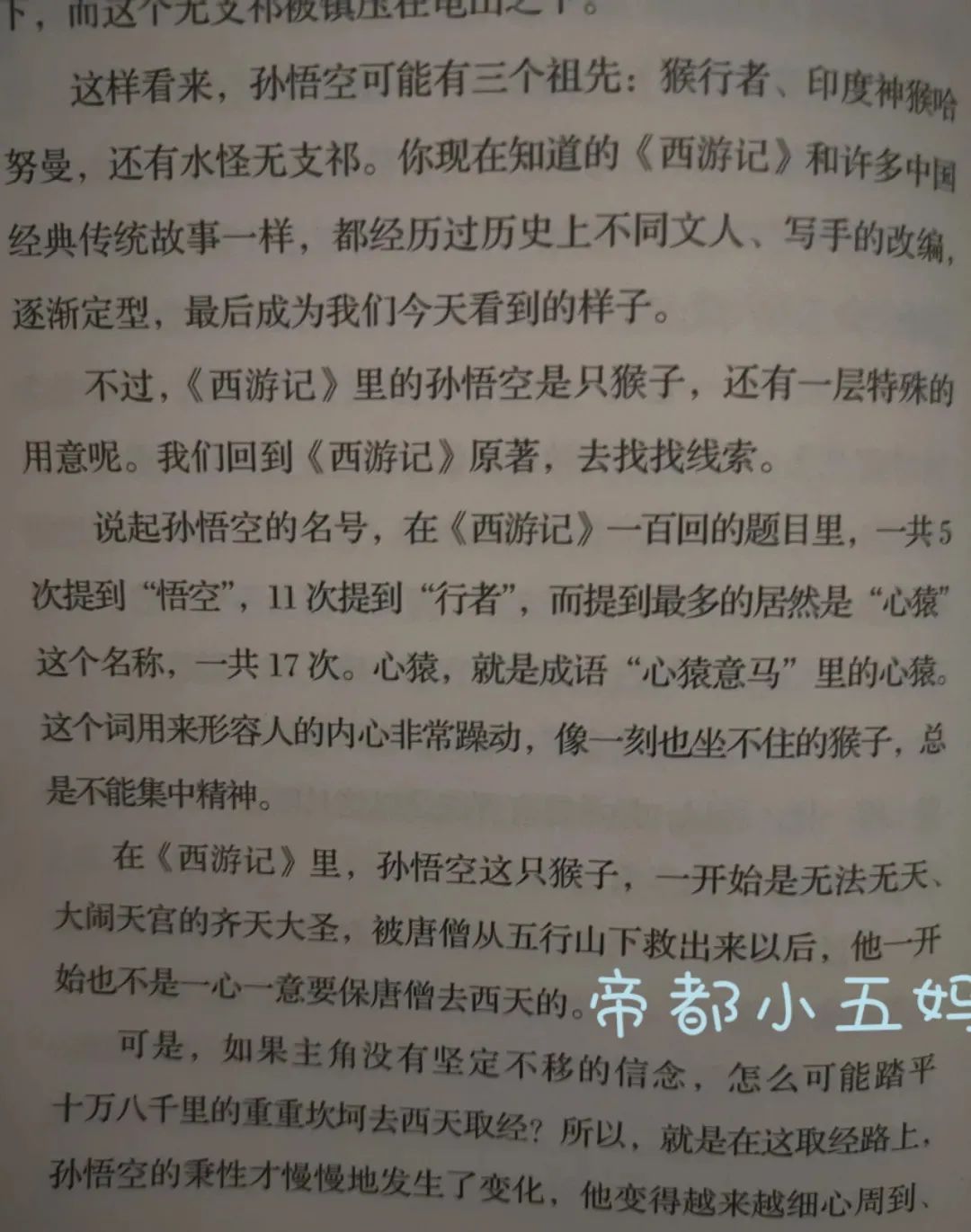 开售｜在北大中文系没学够，这套名著解读书，我希望跟孩子们一起享用