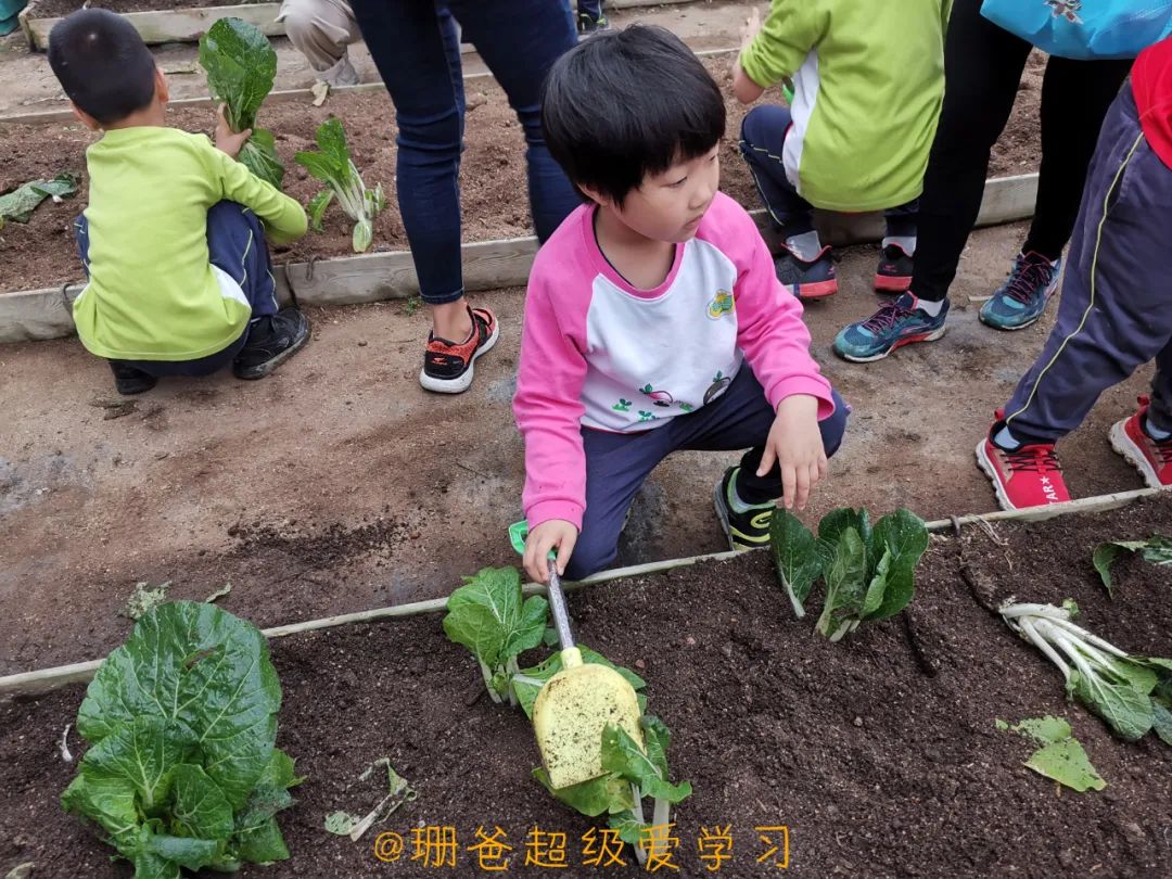 年轻人刚在职场上躺好，我已经连养娃都躺平了！