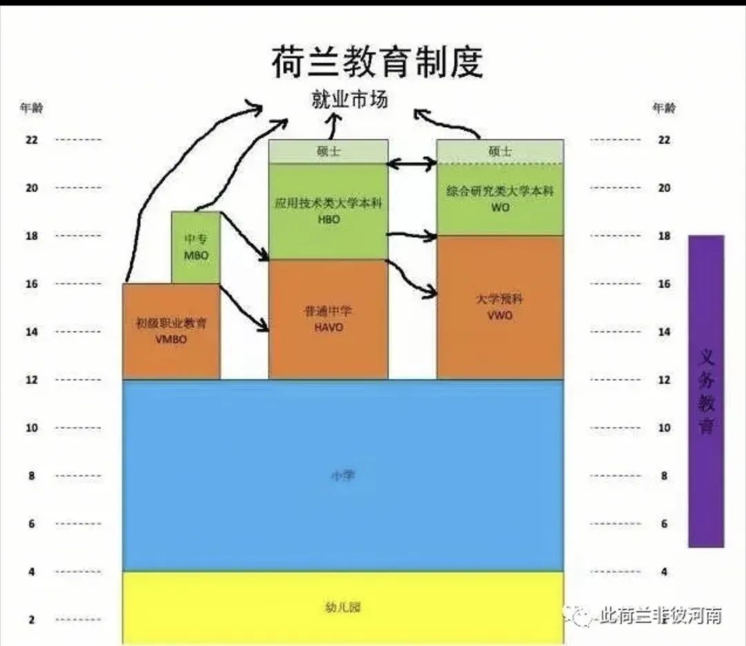 荷兰教授妈妈自述：女儿上小学才惊觉，完美的普职分流政策却暗藏着“拼爹”的小升初